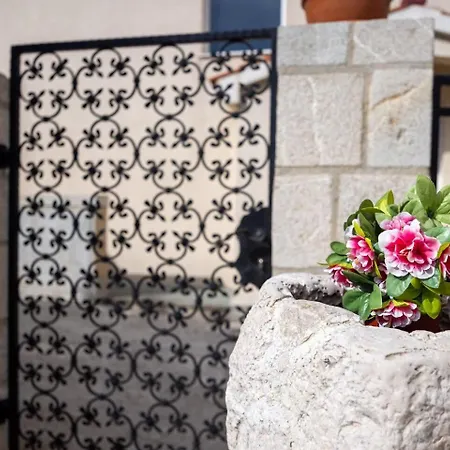 Tatil Evi House Darko